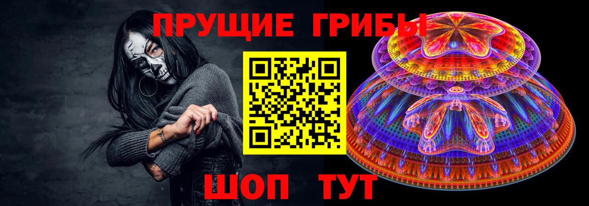 Галлюциногенные грибы ЛСД  где купить наркоту  Красноярск  Галлюциногенные грибы Psilocybine cubensis  Вход с VPN 